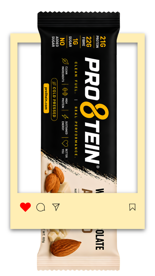 PRO8TEIN Lineup Concept